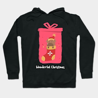 Christmas Animals in Socks Hoodie